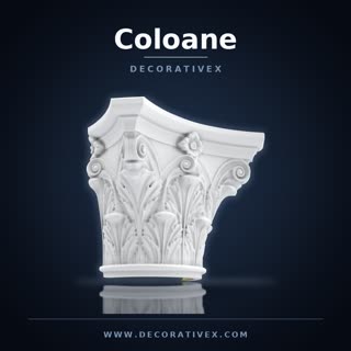 Coloane