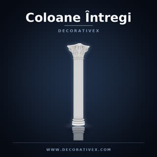Coloane Întregi