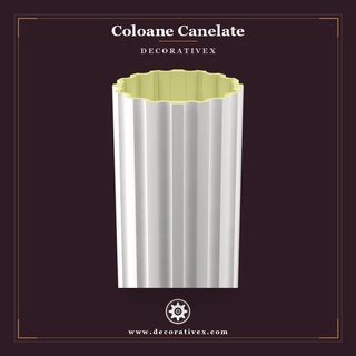 Coloane Canelate