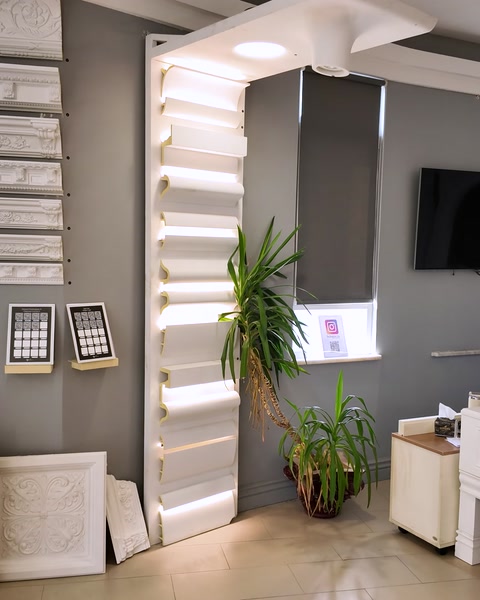 Hol de showroom cu arcadă și profil retroiluminat, plante decorative